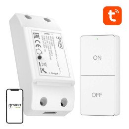 Gosund SW20 10A WiFi Smart Wall Switch with Remote Control, Tuya
