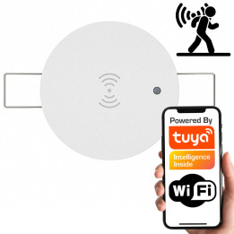24GHz kustības un gaismas sensors | Padziļināti griesti | WiFi | TUYA