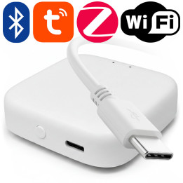 Мультибрамка Мини Сигнализация ZigBee Bluetooth WiFi TUYA