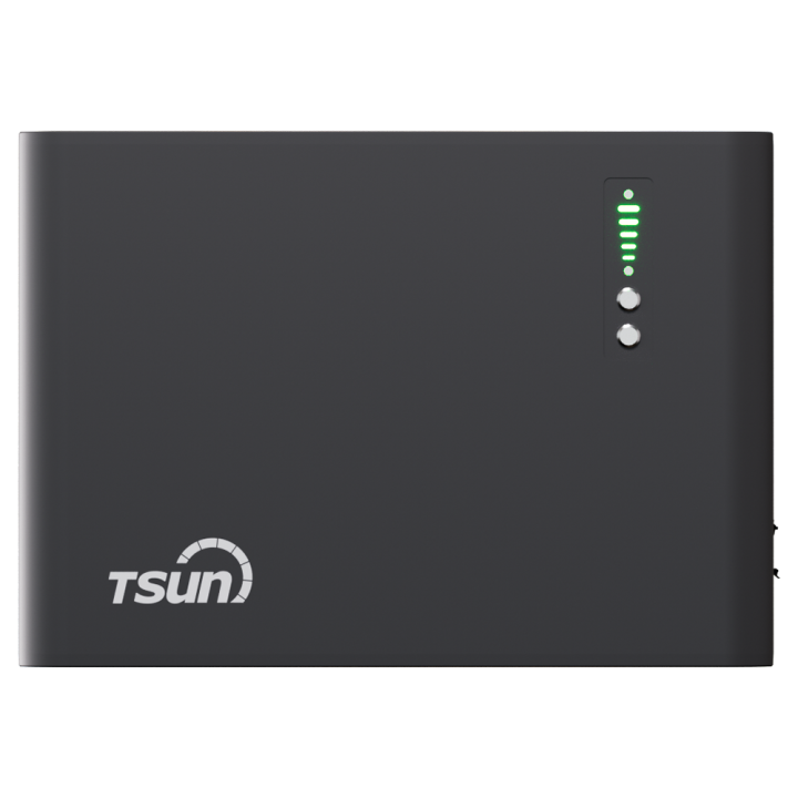 TSUN TSOL-MSU2000 2000W On-Grid Microinverter