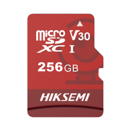 HIKSEMI HS-TF-E1-256G 256 ГБ microSDXC карта