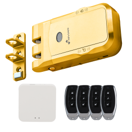 NIVIAN RETAIL NVS-SMARTBOLT-GOLDEN Электромагнитный замок