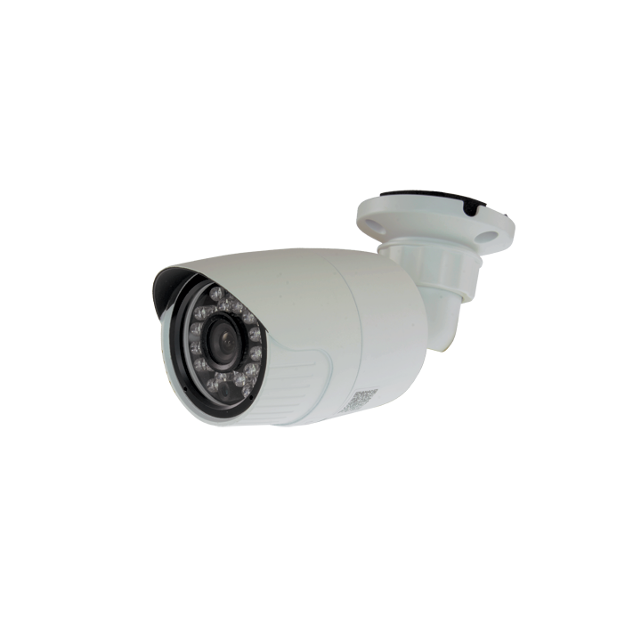 MARCA BLANCA IPCV229-2OI 2MP PoE IP-камера