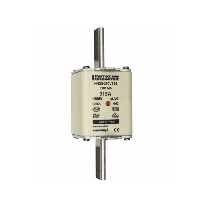 NH fuse-link gG, 500VAC, size 2, 315A double indicator/live tags