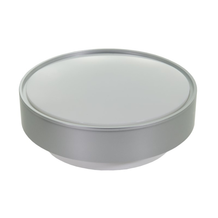 DIONE LED 9W gaismeklis ar matēto plafonu sudraba krāsa korpusu balta krāsa pamatni 4000K 900lm IP65 IK10