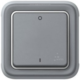 Legrand Plexo двухполюсный выключатель IP55 серый