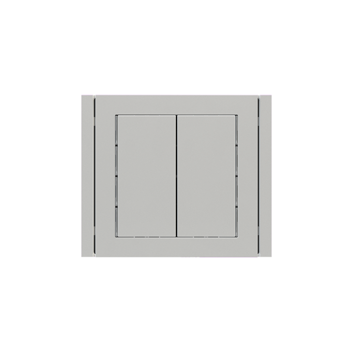 Ekinex slēdzis 71 30x60 mm sudrabs plastmasa EK-T2R-GAG-