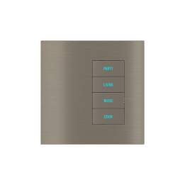 Ekinex plāksne 20venti 98x98 mm niķelis metāls EK-SQT-GBR