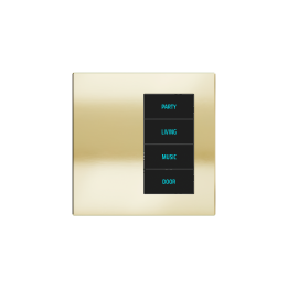 Ekinex plāksne 20venti 87x87 mm Champagne metāls EK-DQT-CHA