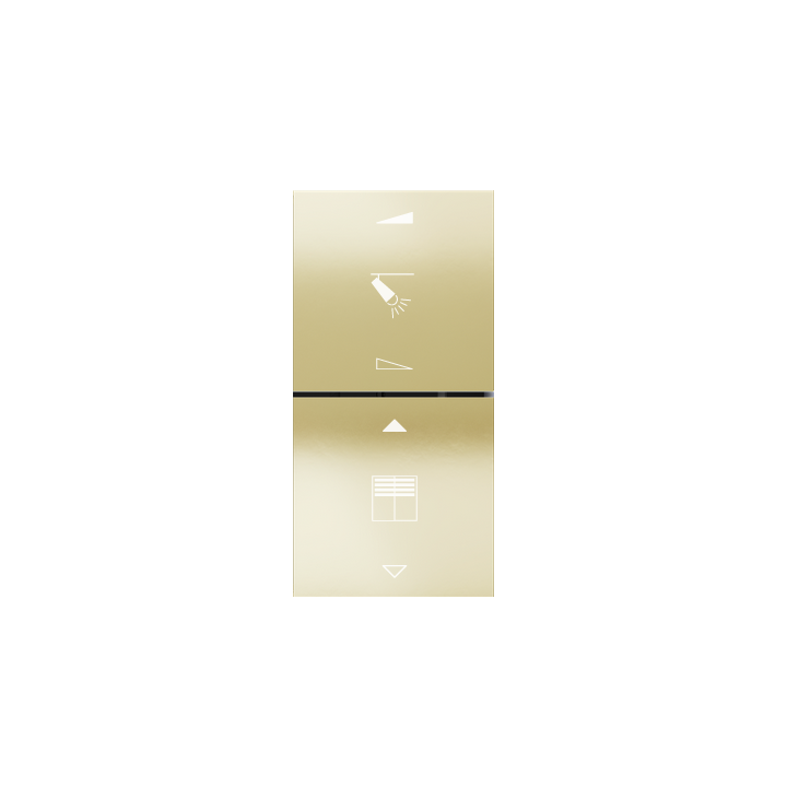 Ekinex plāksne FF 40x40 mm Champagne metāls EK-TQQ-CHA-EF2-