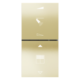 Ekinex plāksne FF 40x40 mm Champagne metāls EK-TQQ-CHA-EF2