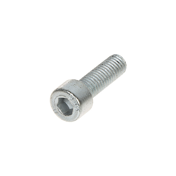 Sešķaura skrūve M8x25 8.8 tērauds SI-M8X25/KL-8.8