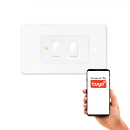 Scene tālvadības pults 2 kanāli 6 programmas LR sērija ZigBee Home Assistant TUYA