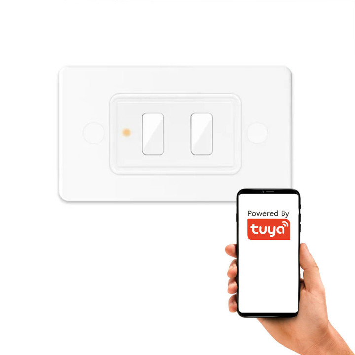 Scene tālvadības pults 2 kanāli 6 programmas LR sērija ZigBee Home Assistant TUYA