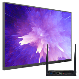 HISENSE HIS-65WR6CE-OPS interaktīvā mājdzīvnieka rotaļlieta