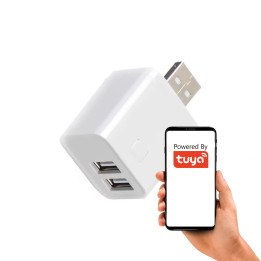 Smart Mini Switch adapteris USB 2 ports 5-12V ZigBee TUYA