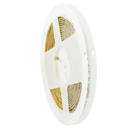 PSMART Taśma LED 24V CCT 2835 IP65 10mm 120led/m 5m