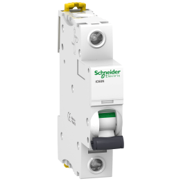 SCHNEIDER ELECTRIC iC60N MCB 2A C tips