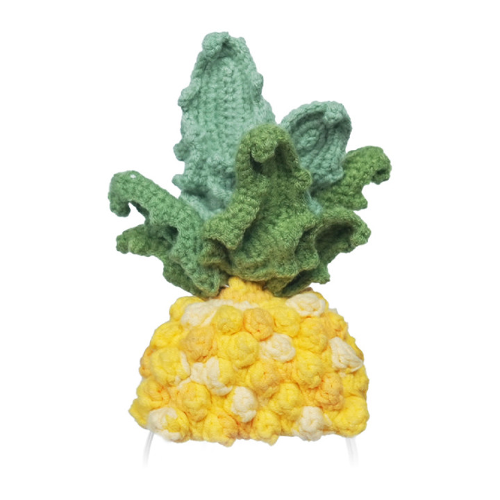Adīts kostīms priekš Loona Premium Pineapple