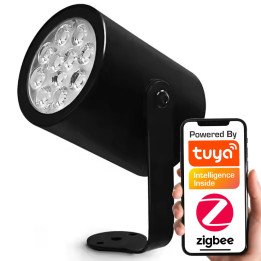 Āra lampa RGBCCT IP66 230V ZigBee HUE TUYA