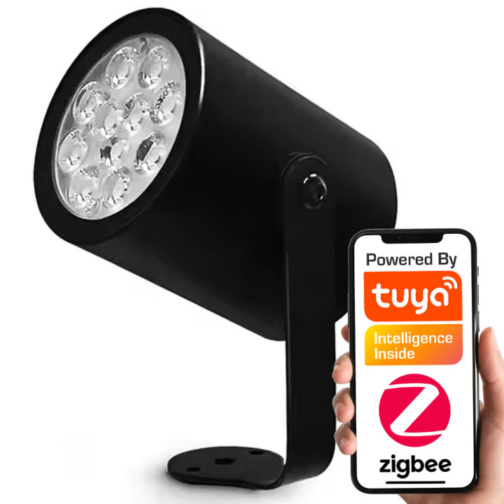 Āra lampa RGBCCT IP66 230V ZigBee HUE TUYA