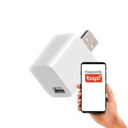 Smart Mini Switch USB adapteris 1 ports 5-12V ZigBee TUYA