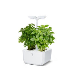 Īsts Exky Classic puķu pods