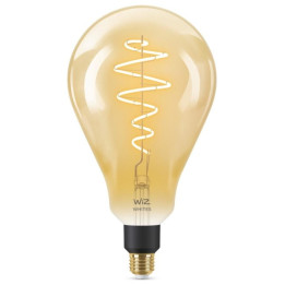 WiZ,PS160 Globe,6W,2000-5000,PS160,E27,1 gaismas avots