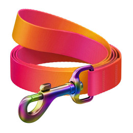 WAUDOG gradienta neilona suņu pavada, 122 cm gara, oranža