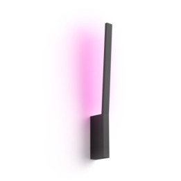 Philips Hue Liane melns 1x12W 24V