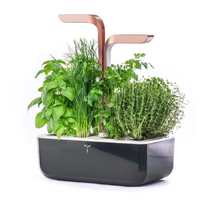 Īsts Doniczka Smart Black&amp;Copper