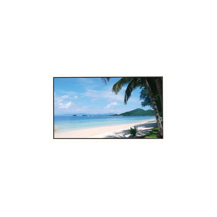 MONITORS HDMI, DP, VGA, AUDIO, USB, RJ45 LM49-S400 49 " — 4K UHD DAHUA