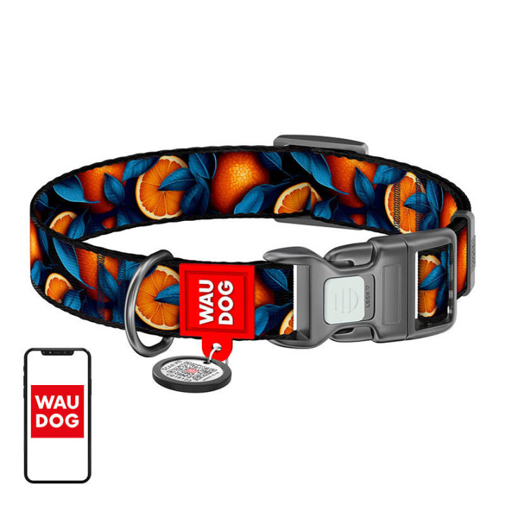 Ошейник для собак нейлоновый Waudog "Апельсины" с QR-кодом, размер М
