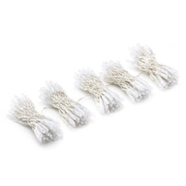 Twinkly Pro PLC kapsula 5 pilieni x 50 pikseļu aizkars 250 LED AWW, PVC caurspīdīgs vads, IP65