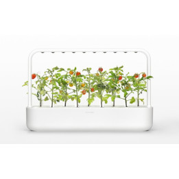 Click and Grow smart garden 9 balts