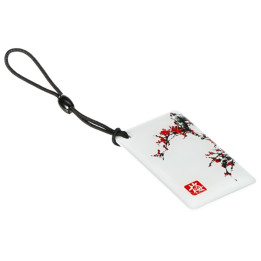 RFID RAKTŲ PAKABUKAS SU GRAFIKA ATLO-K4PIC