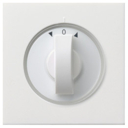 GIRA 0666112 Abdeckung Knebel Zeitschalter + Jalousie Flächenschalter Reinweiß
